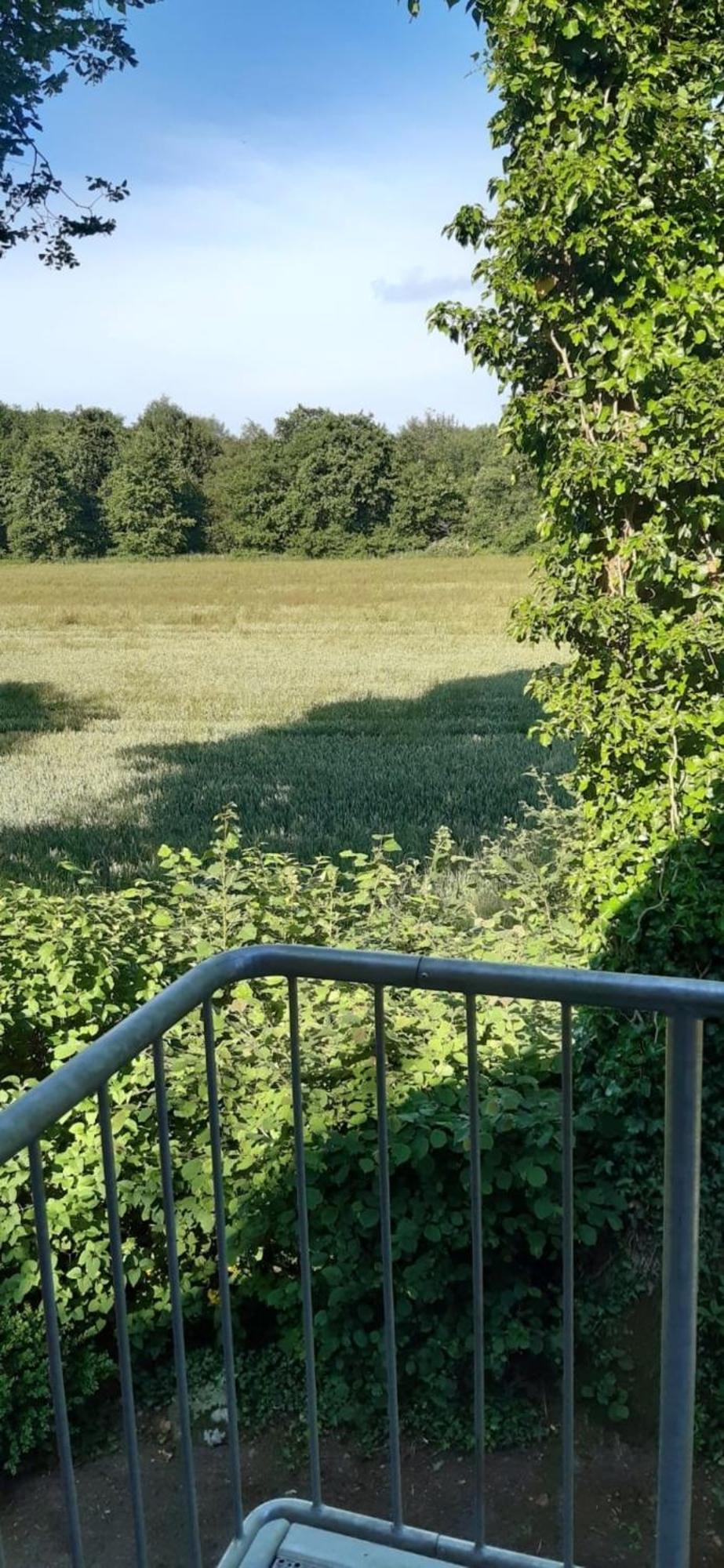 Apartament Landperle Schortens Zewnętrze zdjęcie